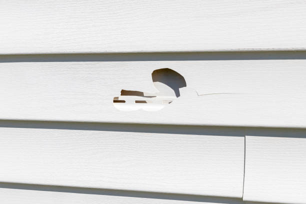 Reliable Sarcoxie, MO Siding Solutions